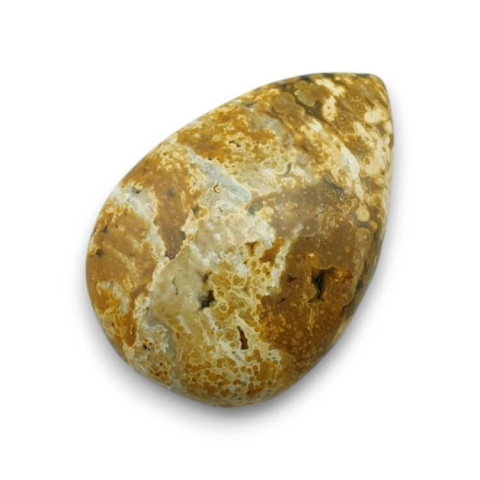 Jasper oceanic cabochon 26x18 mm no 99 Jasper oceanic cabochon 26x18 mm no 99