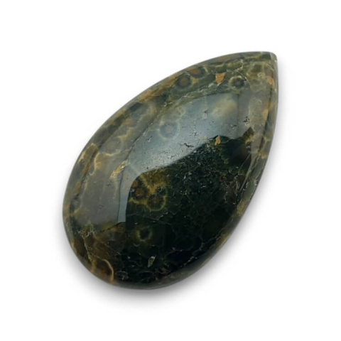 Ocean jasper cabochon 27x16 mm no 69 Ocean jasper cabochon 27x16 mm no 69