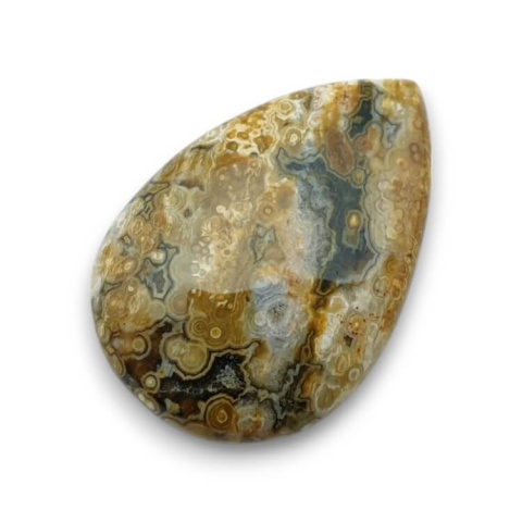 Ocean jasper cabochon 27x19 mm no 118 Ocean jasper cabochon 27x19 mm no 118