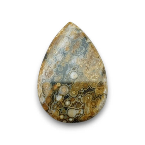 Ocean jasper cabochon 27x19 mm no 118 Ocean jasper cabochon 27x19 mm no 118