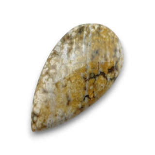 Jaspis oceaniczny kaboszon 28x16 mm nr 121