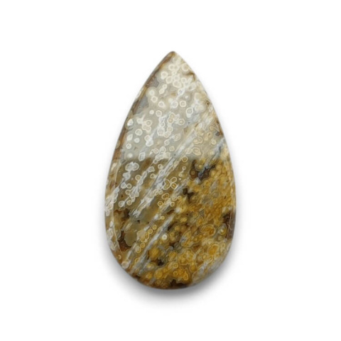 Jasper oceanic cabochon 28x16 mm no. 121 Jasper oceanic cabochon 28x16 mm no. 121