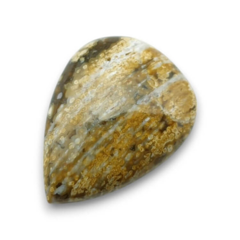 Jasper oceanic cabochon 28x21 mm no 66 Jasper oceanic cabochon 28x21 mm no 66