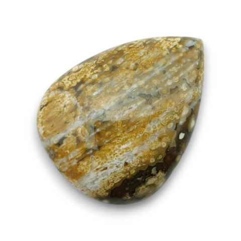 Jasper oceanic cabochon 28x21 mm no 66 Jasper oceanic cabochon 28x21 mm no 66