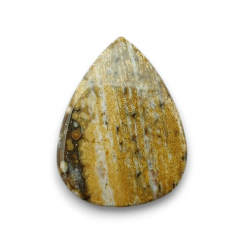 Jasper oceanic cabochon 28x21 mm no 66 Jasper oceanic cabochon 28x21 mm no 66
