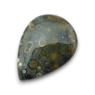 Jaspis oceaniczny kaboszon 29x21 mm nr 107