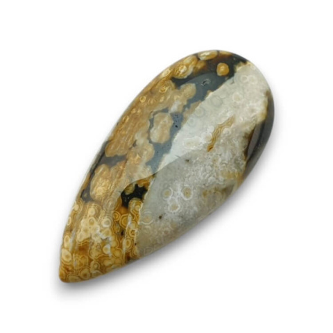 Jasper oceanic cabochon 30x15 mm no. 112 Jasper oceanic cabochon 30x15 mm no. 112