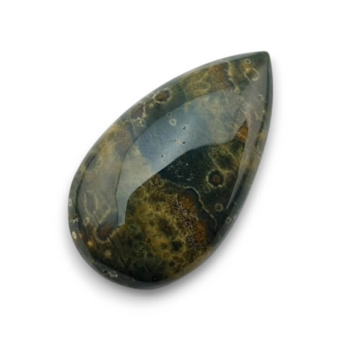 Ocean jasper cabochon 30x17 mm no 71 Ocean jasper cabochon 30x17 mm no 71