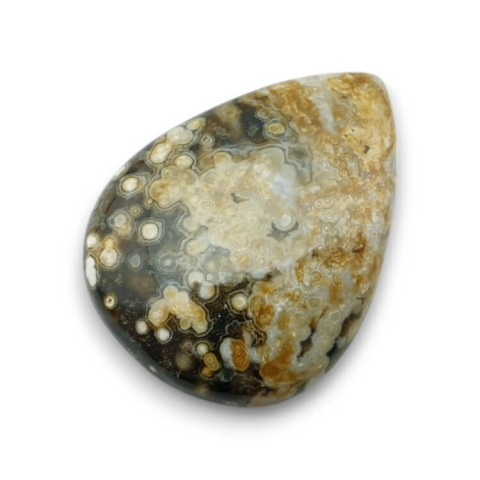 Ocean jasper cabochon 30x23 mm no 67 Ocean jasper cabochon 30x23 mm no 67