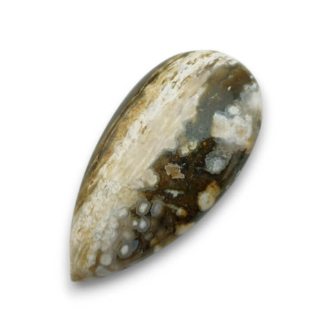Jaspis oceaniczny kaboszon 33x17 mm nr 65 Jaspis oceaniczny kaboszon 33x17 mm nr 65