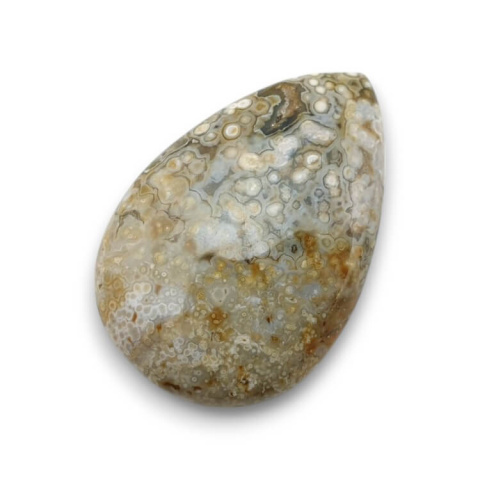 Ocean jasper cabochon 33x22 mm no 84 Ocean jasper cabochon 33x22 mm no 84
