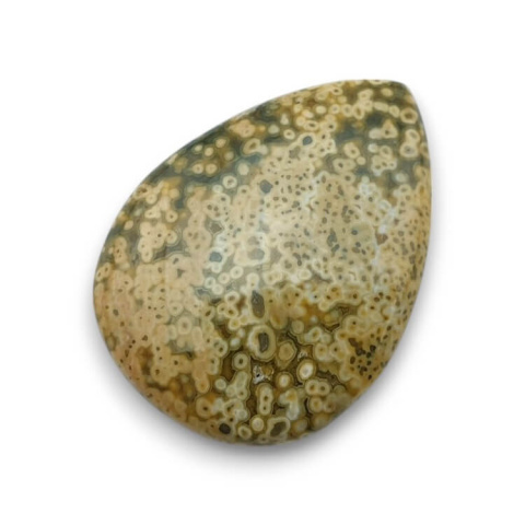 Ocean jasper cabochon 33x24 mm no 89 Ocean jasper cabochon 33x24 mm no 89