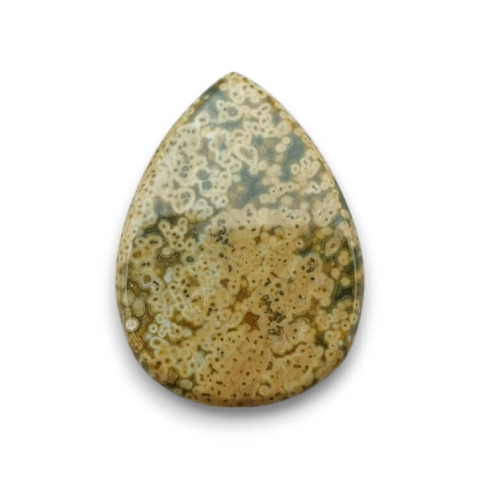 Ocean jasper cabochon 33x24 mm no 89 Ocean jasper cabochon 33x24 mm no 89