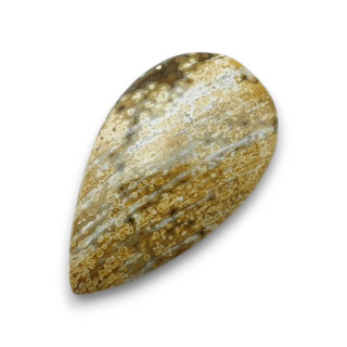 Jasper oceanic cabochon 34x20 mm no 117