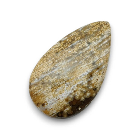 Ocean jasper cabochon 34x20 mm no 117 Ocean jasper cabochon 34x20 mm no 117