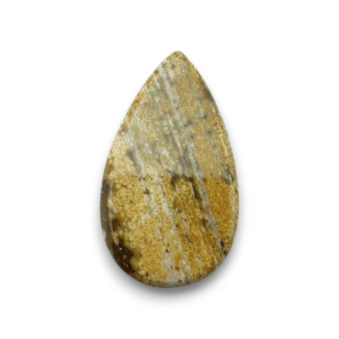 Ocean jasper cabochon 34x20 mm no 117 Ocean jasper cabochon 34x20 mm no 117