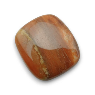 Skamieniałe drewno kaboszon 22x20 mm nr 63