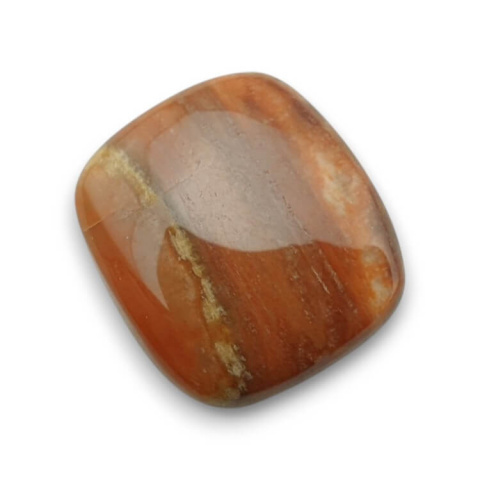 Skamieniałe drewno kaboszon 22x20 mm nr 63 Skamieniałe drewno kaboszon 22x20 mm nr 63