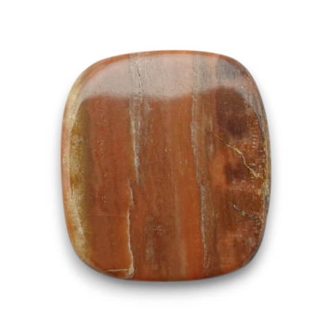 Skamieniałe drewno kaboszon 22x20 mm nr 63 Skamieniałe drewno kaboszon 22x20 mm nr 63
