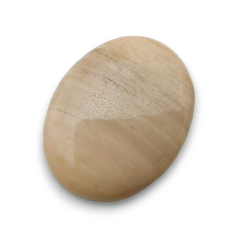 Petrified wood cabochon 25x19 mm no 66 Petrified wood cabochon 25x19 mm no 66