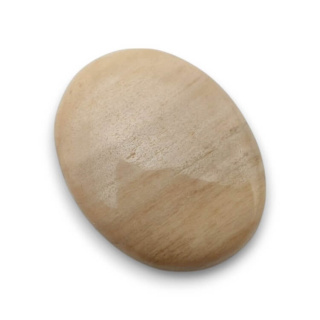 Skamieniałe drewno kaboszon 25x19 mm nr 66