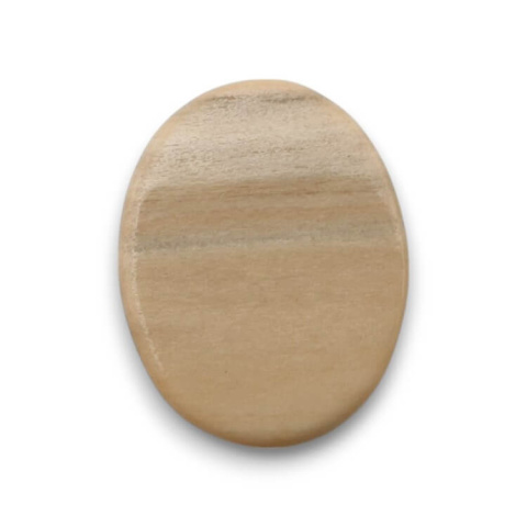 Petrified wood cabochon 25x19 mm no 66 Petrified wood cabochon 25x19 mm no 66