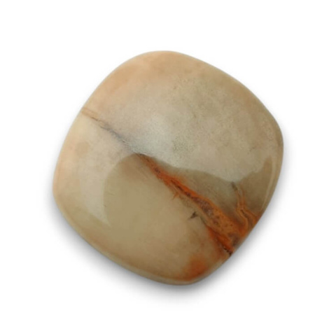Petrified wood cabochon 25x24 mm no. 55 Petrified wood cabochon 25x24 mm no. 55