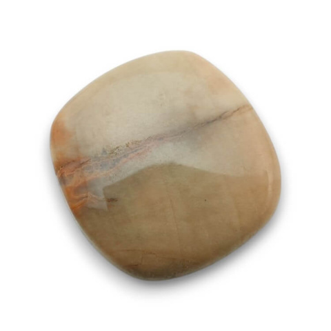 Petrified wood cabochon 25x24 mm no. 55 Petrified wood cabochon 25x24 mm no. 55