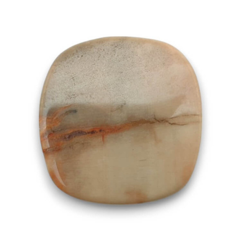 Petrified wood cabochon 25x24 mm no. 55 Petrified wood cabochon 25x24 mm no. 55