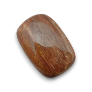 Skamieniałe drewno kaboszon 26x17 mm nr 46