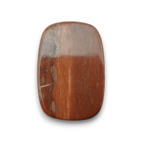 Petrified wood cabochon 26x17 mm no. 46 Petrified wood cabochon 26x17 mm no. 46