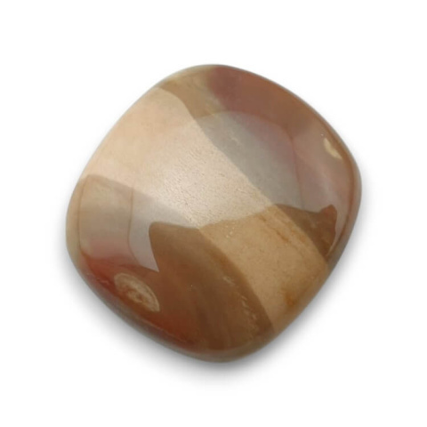 Petrified wood cabochon 26x24 mm no. 53 Petrified wood cabochon 26x24 mm no. 53