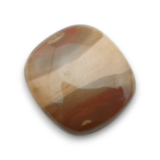 Skamieniałe drewno kaboszon 26x24 mm nr 53