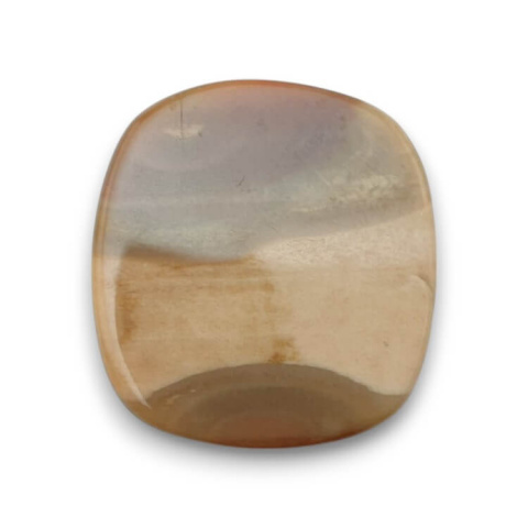 Petrified wood cabochon 26x24 mm no. 53 Petrified wood cabochon 26x24 mm no. 53