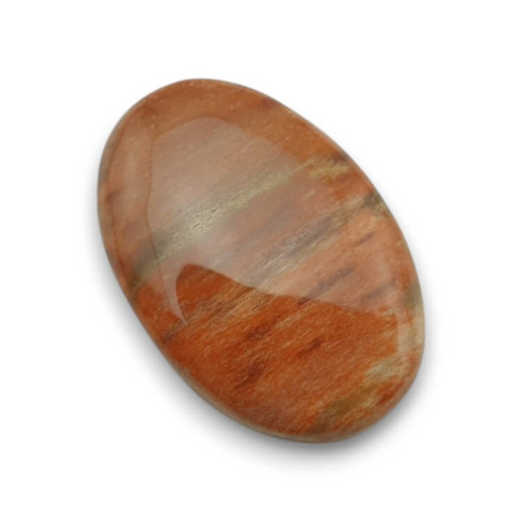 Petrified wood cabochon 28x19 mm no. 59 Petrified wood cabochon 28x19 mm no. 59