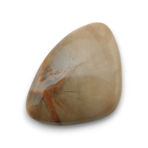 Petrified wood cabochon 28x20 mm no. 57 Petrified wood cabochon 28x20 mm no. 57