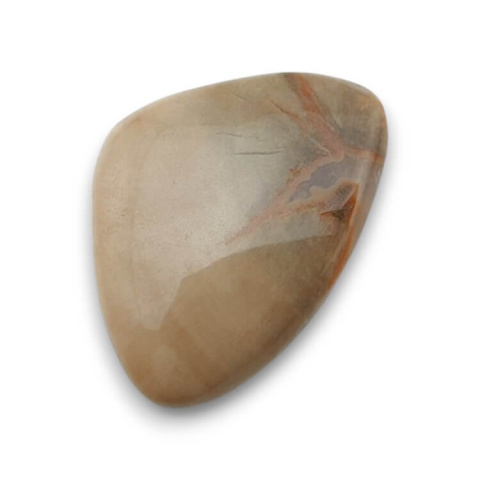 Petrified wood cabochon 28x20 mm no. 57 Petrified wood cabochon 28x20 mm no. 57