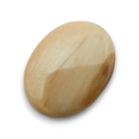 Petrified wood cabochon 28x21 mm no 34 Petrified wood cabochon 28x21 mm no 34
