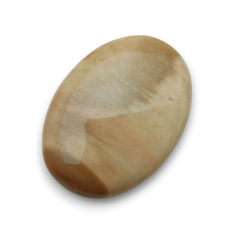 Petrified wood cabochon 28x21 mm no. 52 Petrified wood cabochon 28x21 mm no. 52