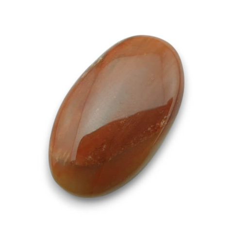 Petrified wood cabochon 29x17 mm no 54 Petrified wood cabochon 29x17 mm no 54