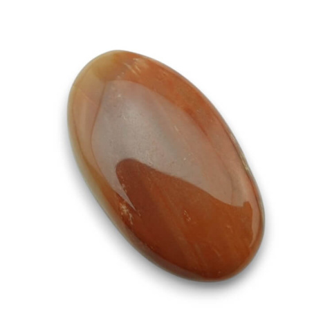 Petrified wood cabochon 29x17 mm no 54 Petrified wood cabochon 29x17 mm no 54