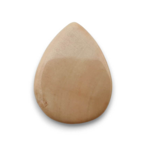 Petrified wood cabochon 29x22 mm no. 41 Petrified wood cabochon 29x22 mm no. 41