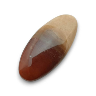 Skamieniałe drewno kaboszon 30x14 mm nr 64