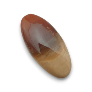Skamieniałe drewno kaboszon 30x14 mm nr 64