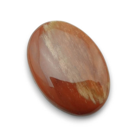 Petrified wood cabochon 30x21 mm no. 38 Petrified wood cabochon 30x21 mm no. 38