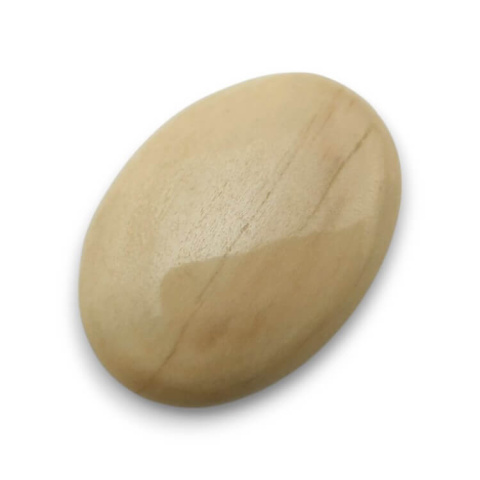 Petrified wood cabochon 30x22 mm no. 40 Petrified wood cabochon 30x22 mm no. 40