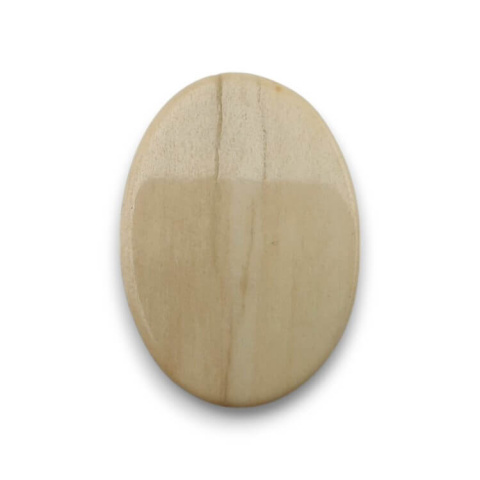 Petrified wood cabochon 30x22 mm no. 40 Petrified wood cabochon 30x22 mm no. 40