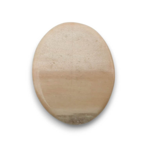 Petrified wood cabochon 30x24 mm no 42 Petrified wood cabochon 30x24 mm no 42