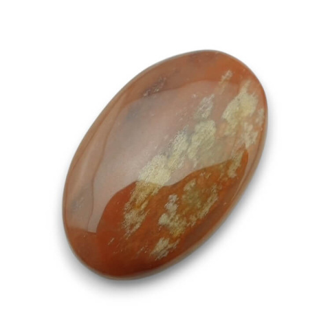 Petrified wood cabochon 31x19 mm no. 58 Petrified wood cabochon 31x19 mm no. 58