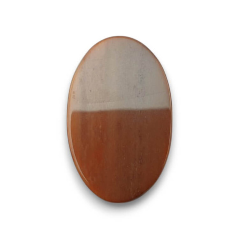 Petrified wood cabochon 31x19 mm no. 58 Petrified wood cabochon 31x19 mm no. 58